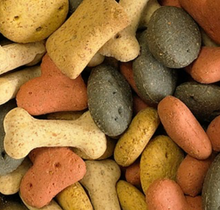 1KG Pointer Biscuit Selection