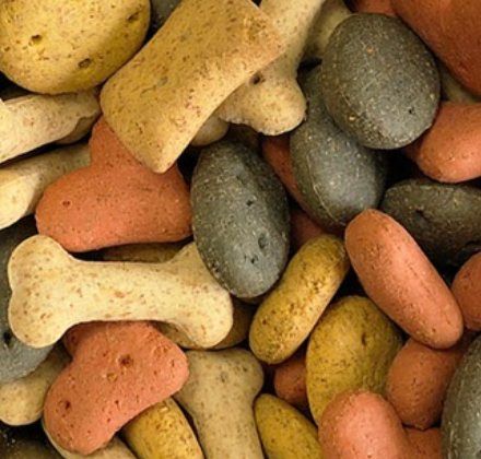 1KG Pointer Biscuit Selection