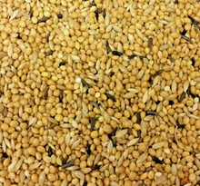Foreign Finch Food