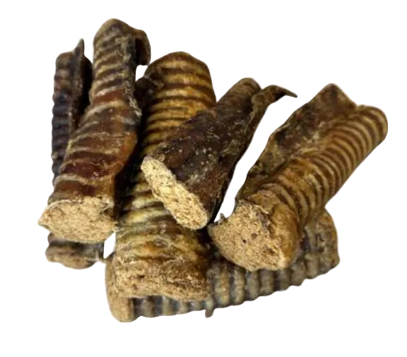 Collagen Filled Beef Trachea
