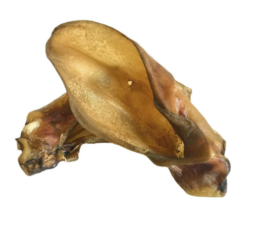 Large Buffalo Ears