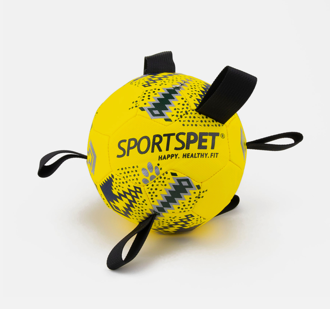 Sportspet Tab Football