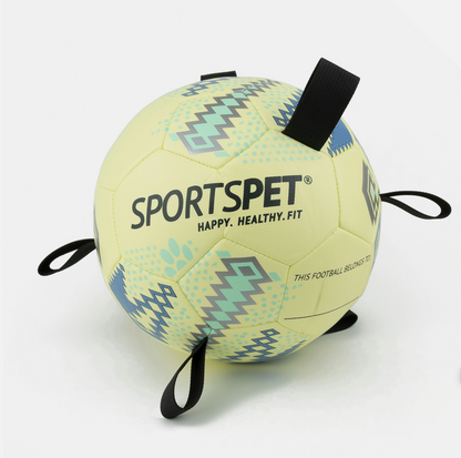 Sportspet Tab Football