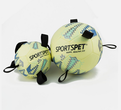 Sportspet Tab Football