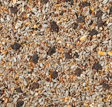 20KG Johnston & Jeff Superior Wild Bird Food with Fruit
