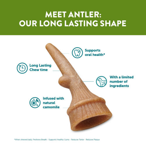Whimzees Antler