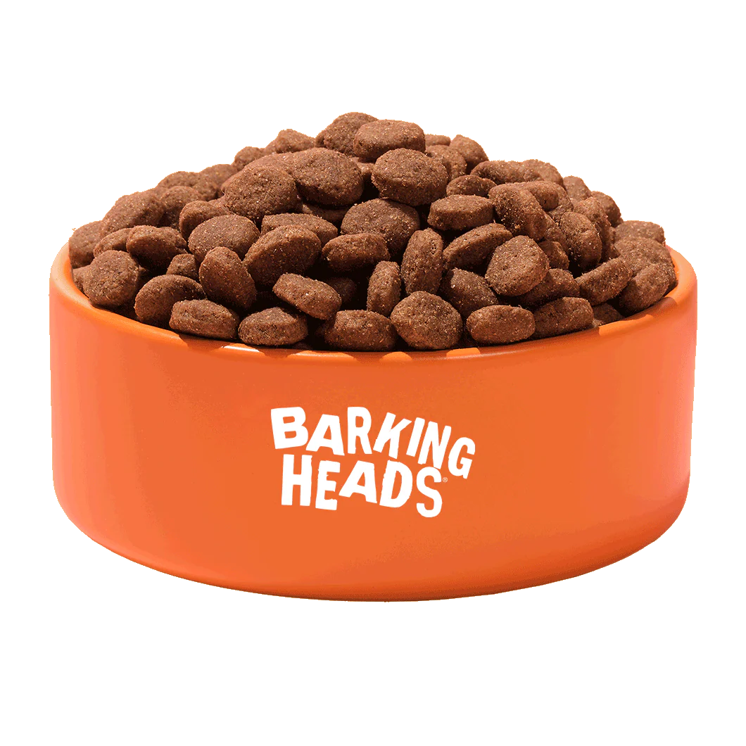 6KG Barking Heads Grain Free Big Foot Turkey Puppy - Discounted Stock