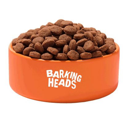 6KG Barking Heads Grain Free Big Foot Turkey Puppy - Discounted Stock