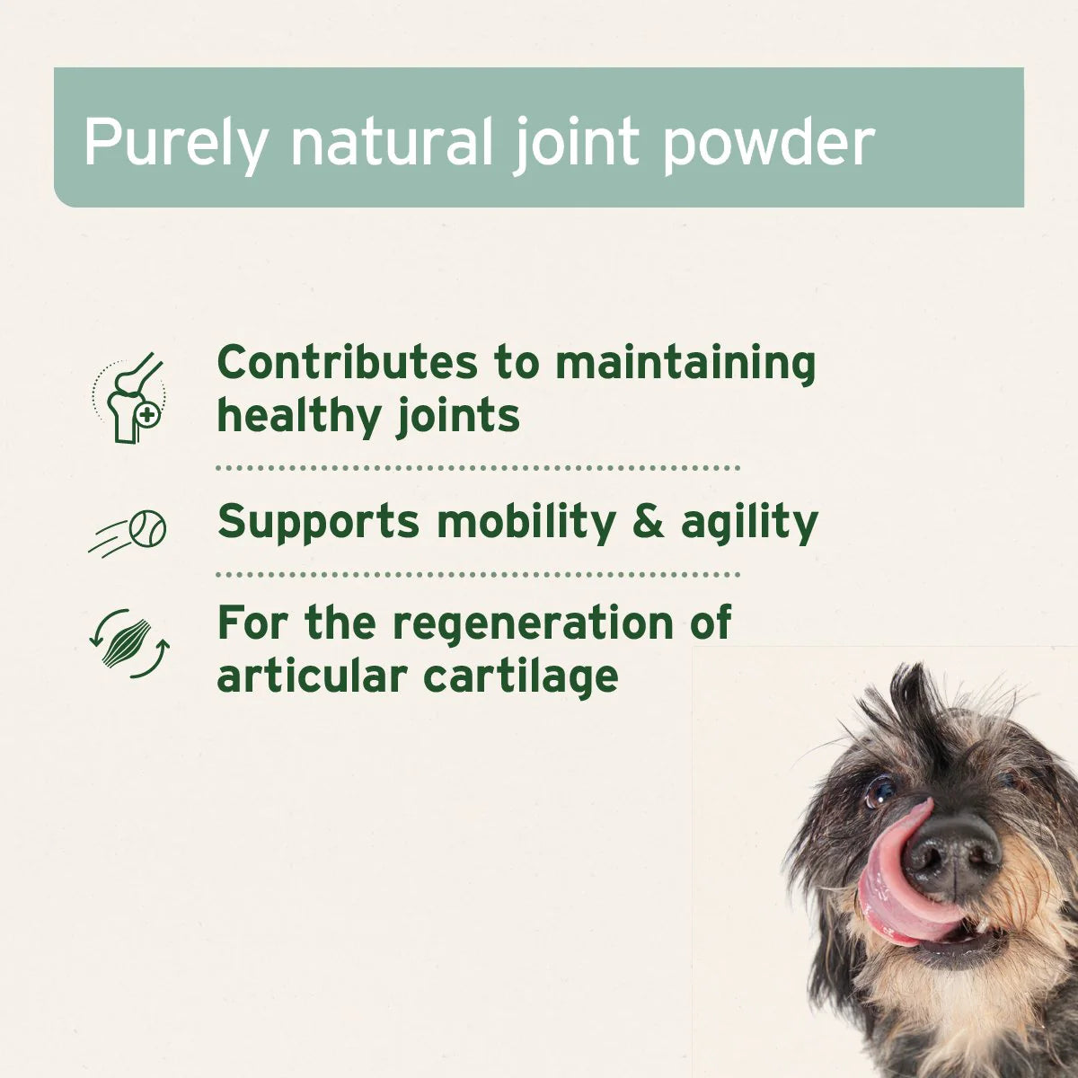 AniForte Green Lipped Mussel Powder