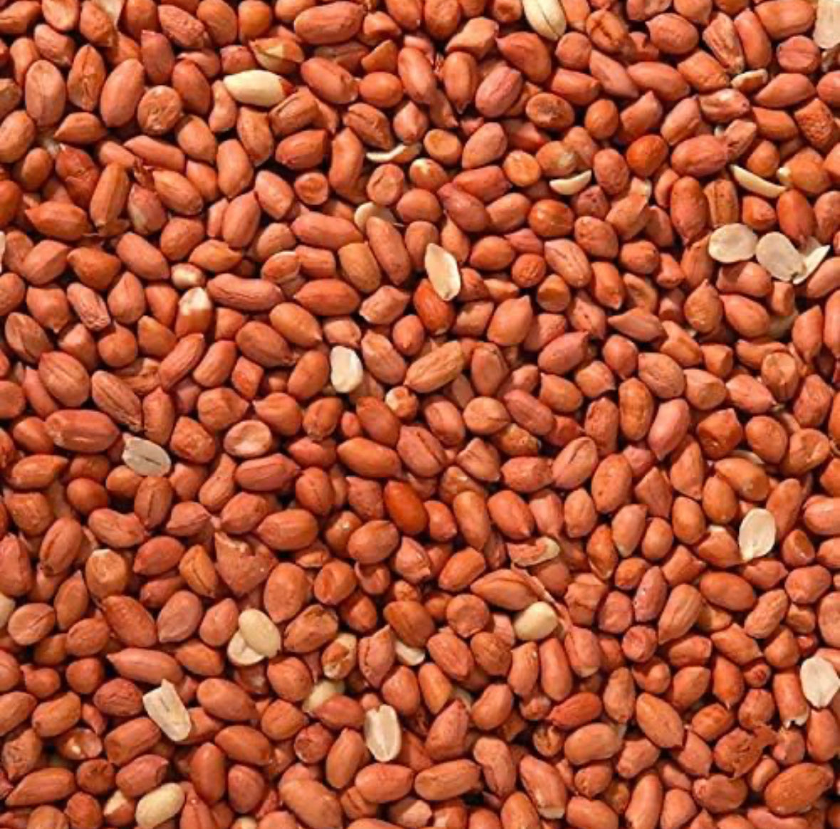 2.5kg Wild Bird Peanuts