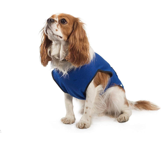 Ancol Dog Cool Coat