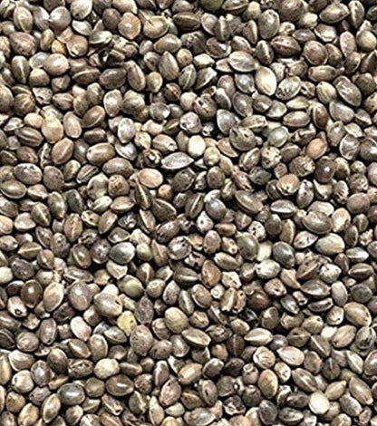 15KG Bucktons Hemp Seed