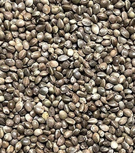 3kg Hemp Seed