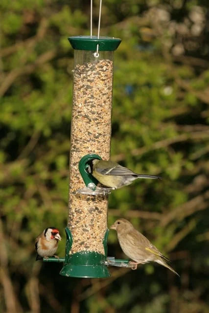 3kg Premium Wild Bird Seed