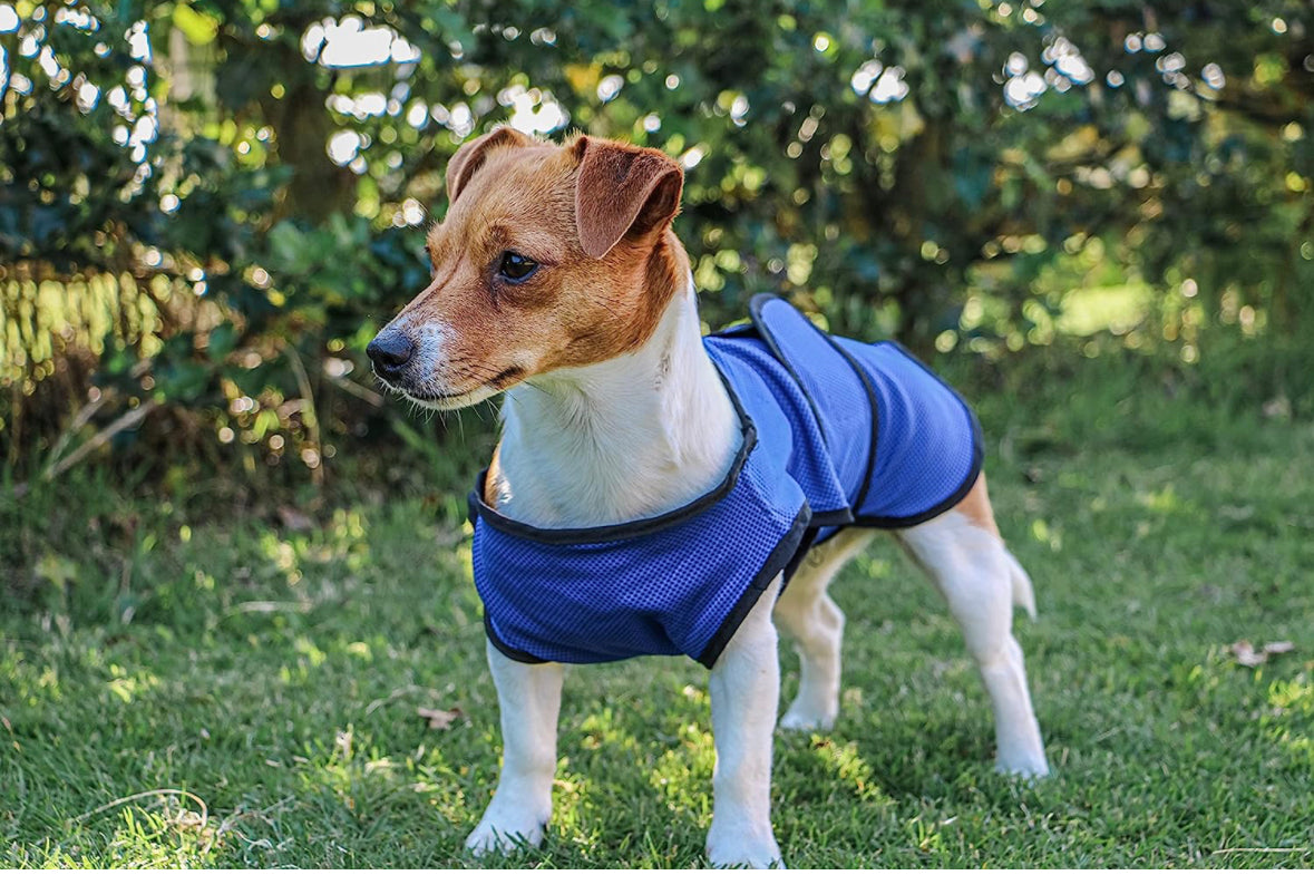 Ancol Dog Cool Coat