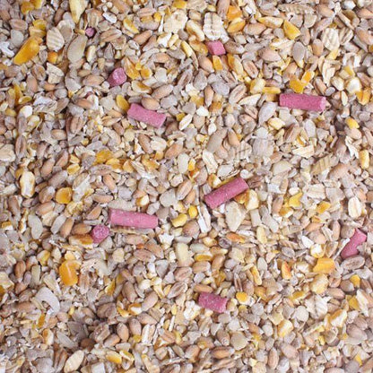 3kg Premium Wild Bird Seed