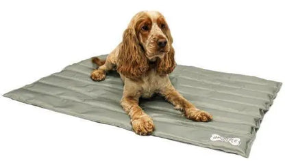 Animate Pet Cooling Mat