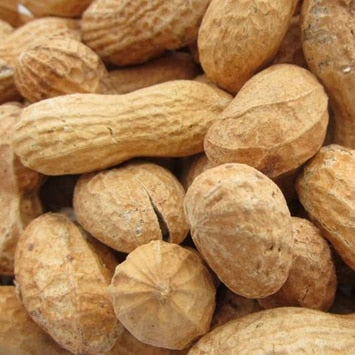 Monkey Nuts