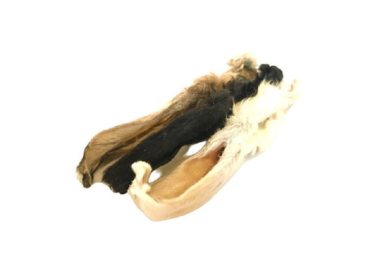 Hairy Rabbit Ears