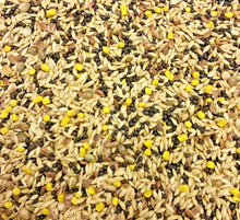 Mixed Canary Seed