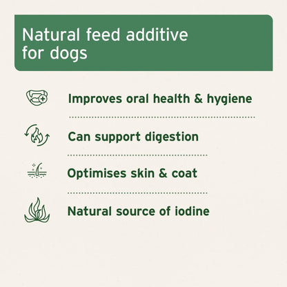 250g AniForte Seaweed Powder
