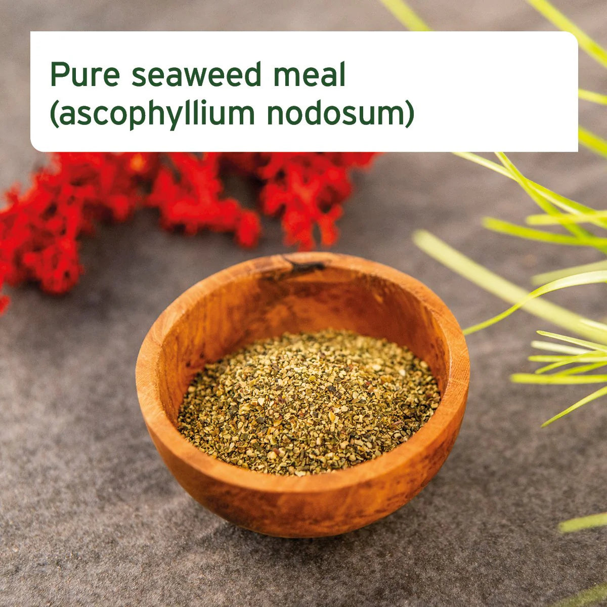 250g AniForte Seaweed Powder