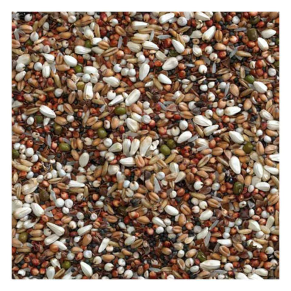 20KG Bucktons Pigeon Conditioner