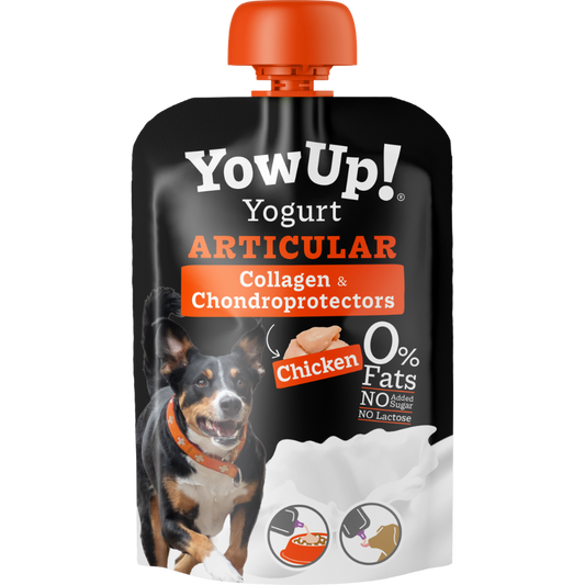 YowUp Dog Yogurt Articular 115g